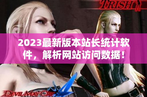 2023最新版本站长统计软件，解析网站访问数据！