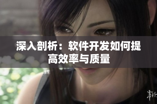 深入剖析：软件开发如何提高效率与质量