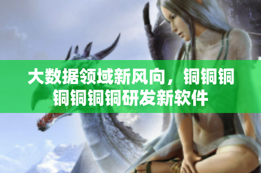 大数据领域新风向，铜铜铜铜铜铜铜研发新软件