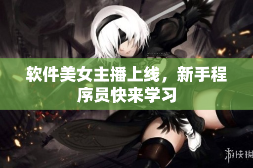 软件美女主播上线，新手程序员快来学习