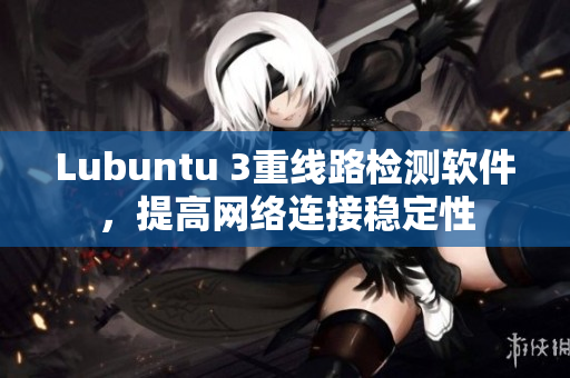 Lubuntu 3重线路检测软件，提高网络连接稳定性