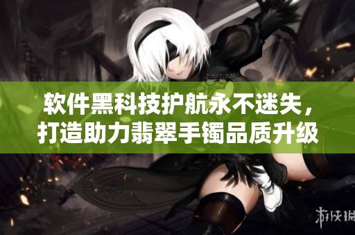 软件黑科技护航永不迷失，打造助力翡翠手镯品质升级