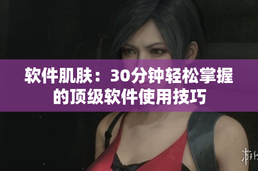 软件肌肤：30分钟轻松掌握的顶级软件使用技巧