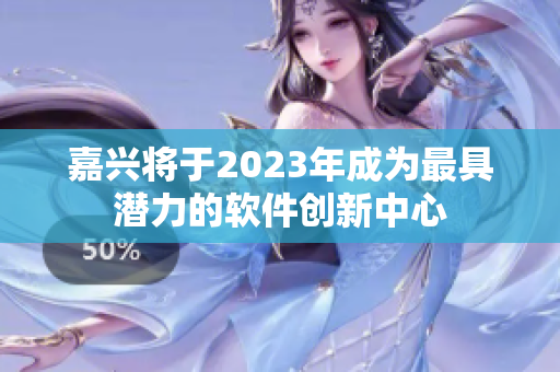 嘉兴将于2023年成为最具潜力的软件创新中心