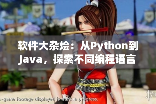 软件大杂烩：从Python到Java，探索不同编程语言的魅力