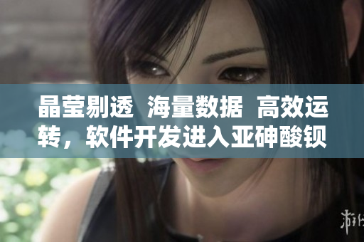 晶莹剔透  海量数据  高效运转，软件开发进入亚砷酸钡时代