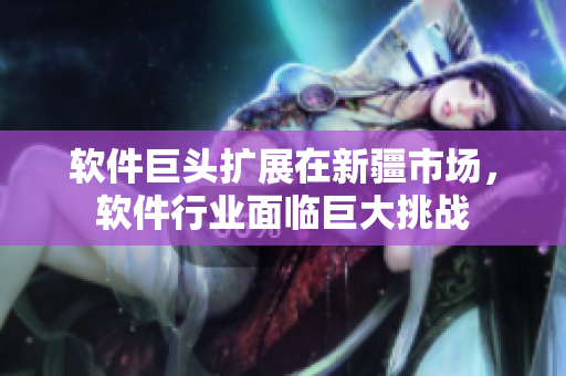 软件巨头扩展在新疆市场，软件行业面临巨大挑战