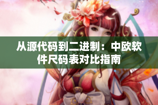 从源代码到二进制：中欧软件尺码表对比指南