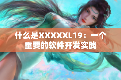 什么是XXXXXL19：一个重要的软件开发实践