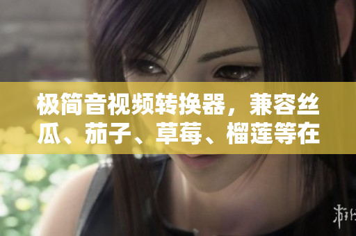 极简音视频转换器，兼容丝瓜、茄子、草莓、榴莲等在线视频站