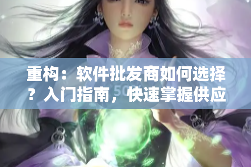 重构：软件批发商如何选择？入门指南，快速掌握供应链。