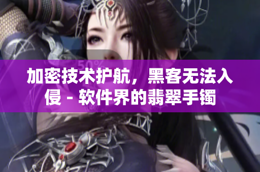 加密技术护航，黑客无法入侵 - 软件界的翡翠手镯