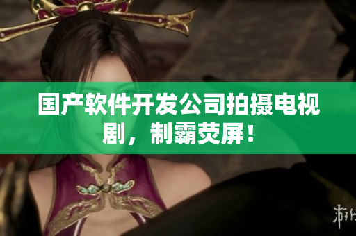 国产软件开发公司拍摄电视剧，制霸荧屏！