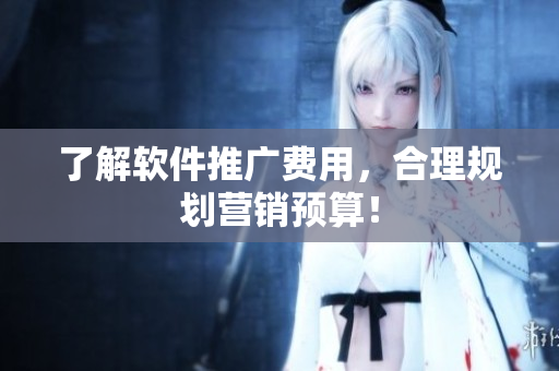 了解软件推广费用，合理规划营销预算！