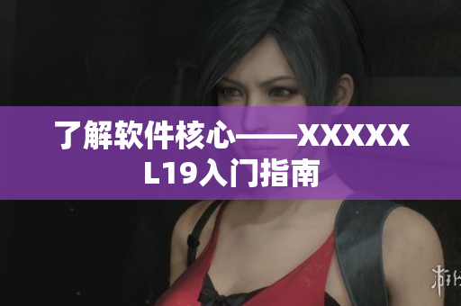 了解软件核心——XXXXXL19入门指南