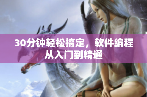 30分钟轻松搞定，软件编程从入门到精通