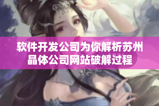 软件开发公司为你解析苏州晶体公司网站破解过程