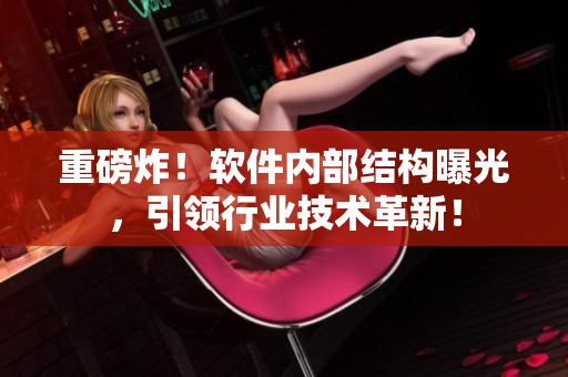 重磅炸！软件内部结构曝光，引领行业技术革新！