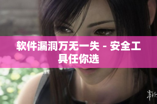软件漏洞万无一失 - 安全工具任你选