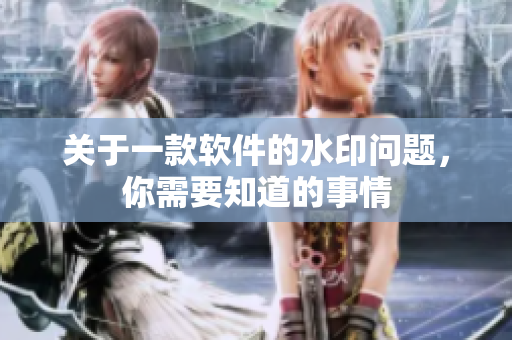 关于一款软件的水印问题，你需要知道的事情