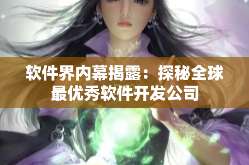 软件界内幕揭露：探秘全球最优秀软件开发公司