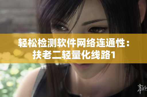 轻松检测软件网络连通性：扶老二轻量化线路1