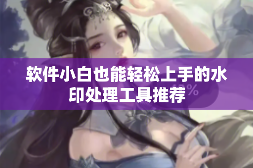 软件小白也能轻松上手的水印处理工具推荐