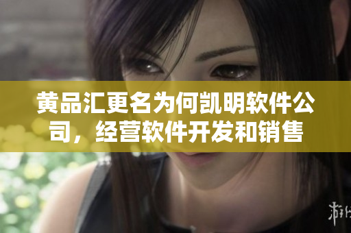 黄品汇更名为何凯明软件公司，经营软件开发和销售