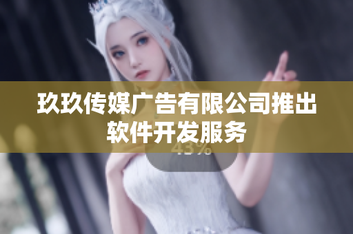 玖玖传媒广告有限公司推出软件开发服务
