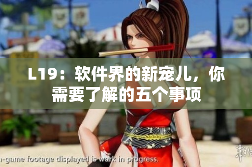 L19：软件界的新宠儿，你需要了解的五个事项
