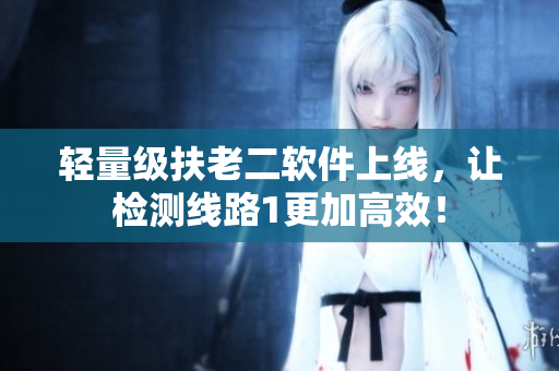轻量级扶老二软件上线，让检测线路1更加高效！