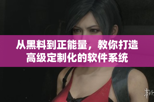 从黑料到正能量，教你打造高级定制化的软件系统