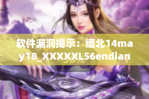 软件漏洞揭示：缅北14may18_XXXXXL56endian问题(1)