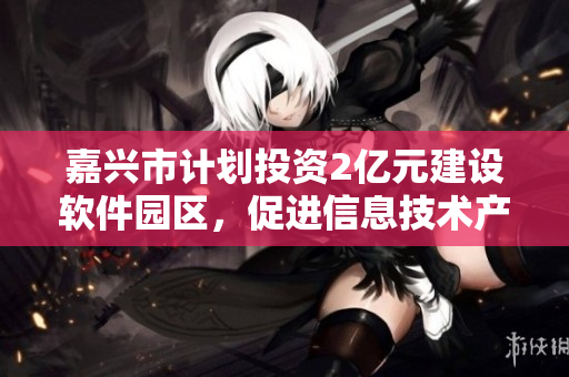 嘉兴市计划投资2亿元建设软件园区，促进信息技术产业发展