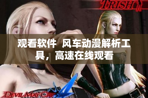 观看软件  风车动漫解析工具，高速在线观看