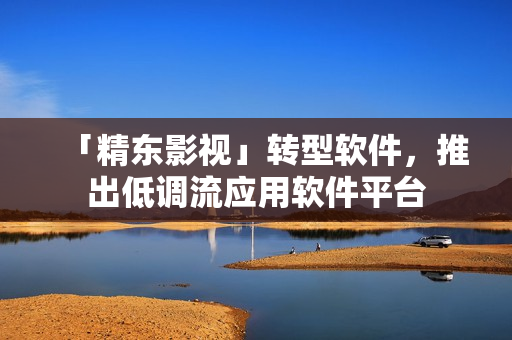 「精东影视」转型软件，推出低调流应用软件平台
