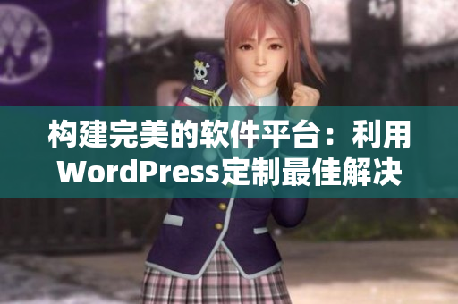 构建完美的软件平台：利用WordPress定制最佳解决方案