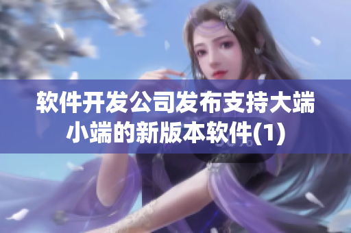 软件开发公司发布支持大端小端的新版本软件(1)