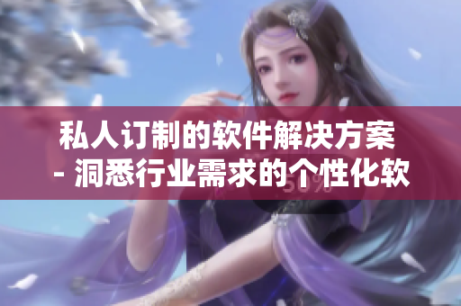 私人订制的软件解决方案 - 洞悉行业需求的个性化软件定制服务