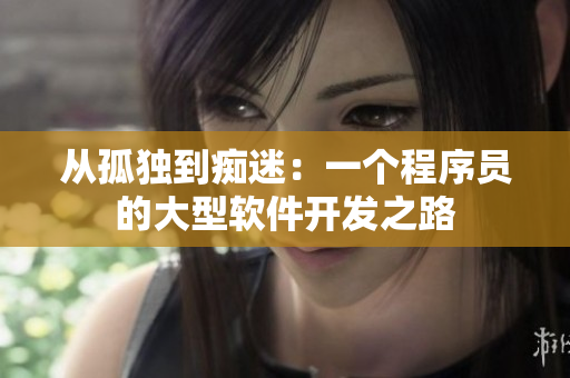 从孤独到痴迷：一个程序员的大型软件开发之路