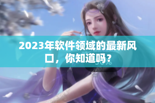2023年软件领域的最新风口，你知道吗？