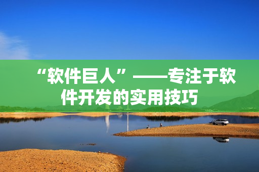 “软件巨人”——专注于软件开发的实用技巧