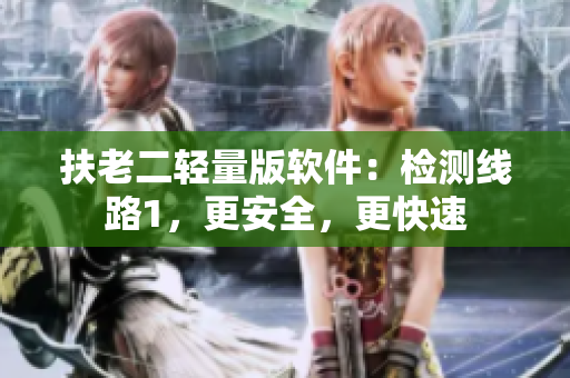 扶老二轻量版软件：检测线路1，更安全，更快速