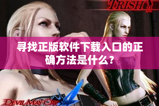 寻找正版软件下载入口的正确方法是什么？