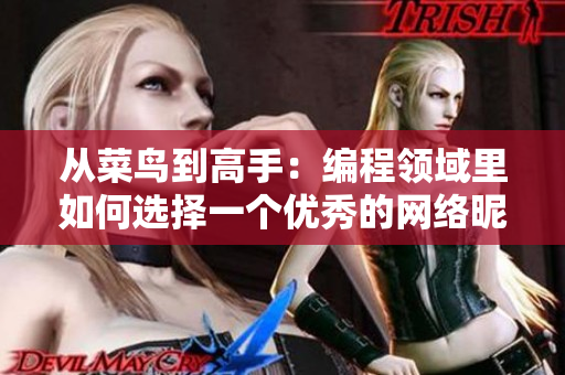 从菜鸟到高手：编程领域里如何选择一个优秀的网络昵称