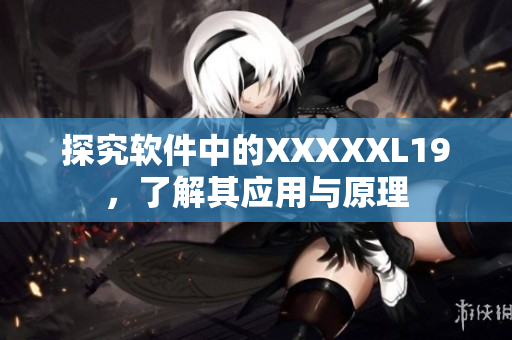 探究软件中的XXXXXL19，了解其应用与原理
