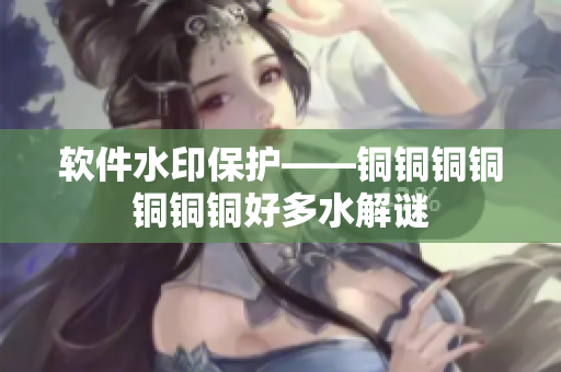 软件水印保护——铜铜铜铜铜铜铜好多水解谜