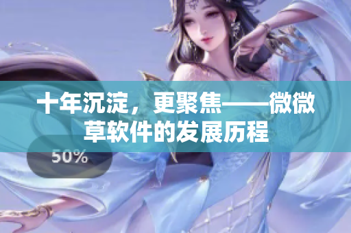 十年沉淀，更聚焦——微微草软件的发展历程