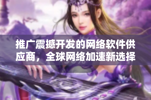 推广震撼开发的网络软件供应商，全球网络加速新选择