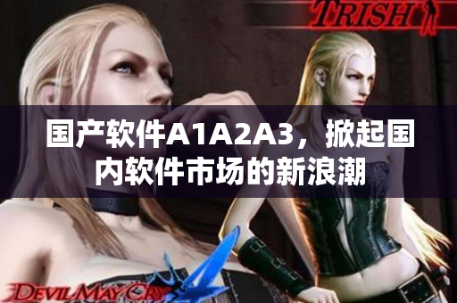 国产软件A1A2A3，掀起国内软件市场的新浪潮